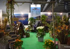 A well-filled display at the Flor Coop Sanremo stand.